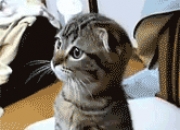 爱游戏体育-保罗终场绝杀！热火惊险逆转黄蜂，关键先生再显英雄本色