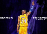 爱游戏官方入口-当桑巴遇上法老，卢卡库的无解之谜与足球的终极哲学