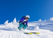 爱游戏大厅-从墨尔本到都灵，穆雷ATP总决赛完胜，如何为联合杯的惊艳写下新注脚？