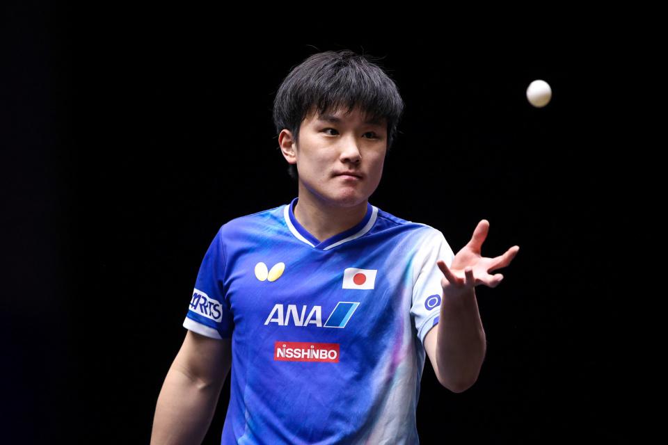 波兰队横扫韩国队，张本智和点燃赛场