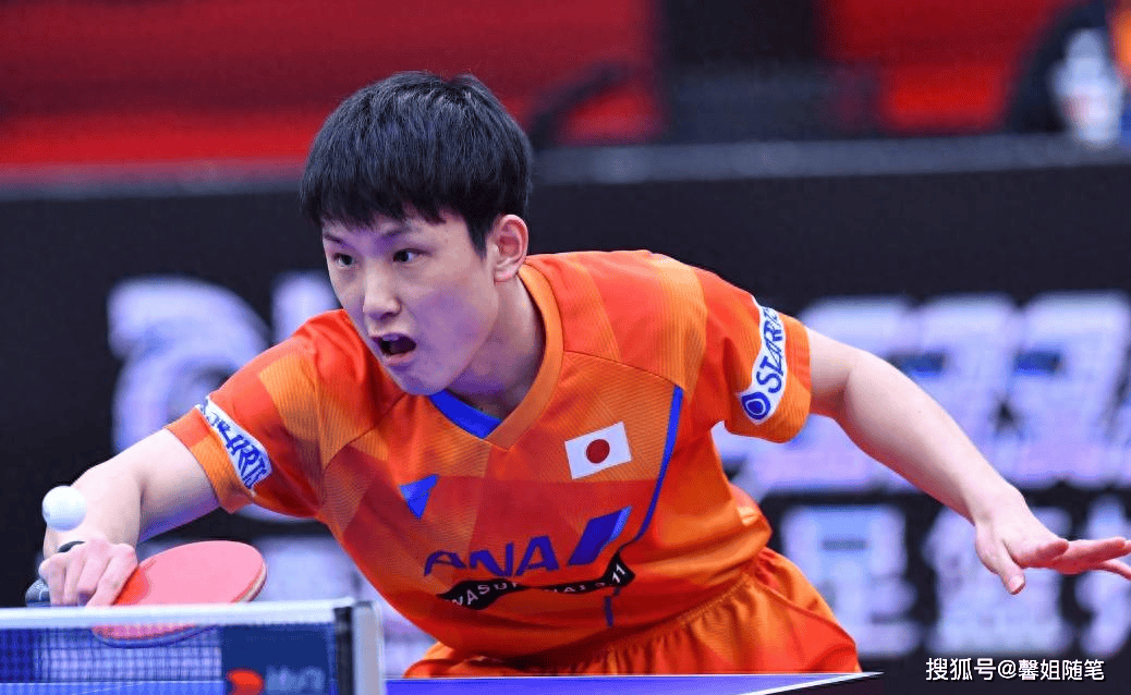 波兰队横扫瑞典队，张本智和状态火热