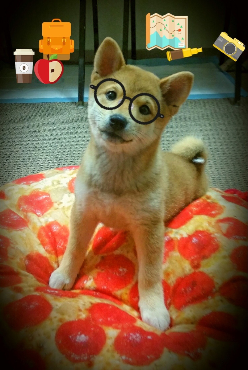 莫兰特狂飙47分撕裂防线，马刺团队篮球熄灭热火三连胜